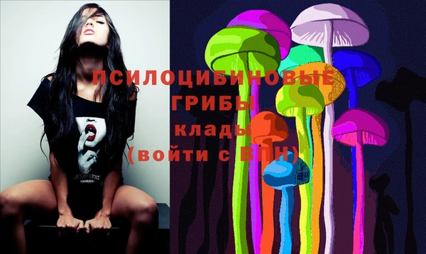 бутират Сосновоборск