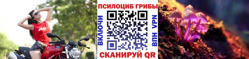 купить  сайты  Галич  OMG   дарк нет Telegram  Псилоцибиновые грибы MAGIC MUSHROOMS 
